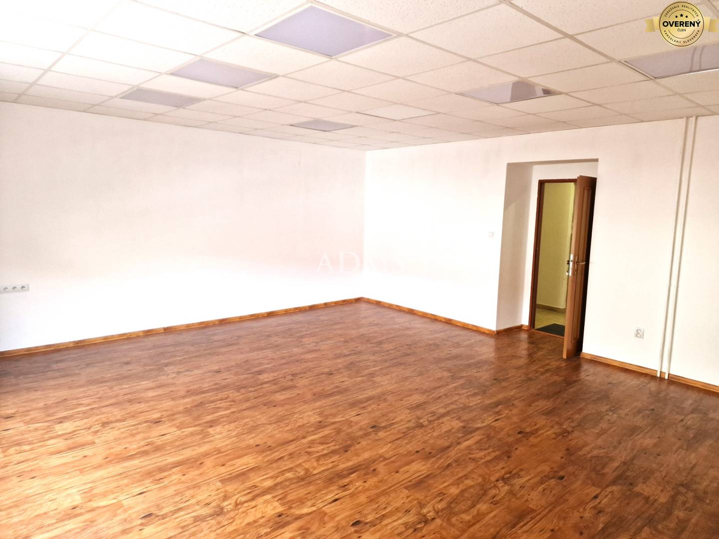 20250325_091545 I.jpg