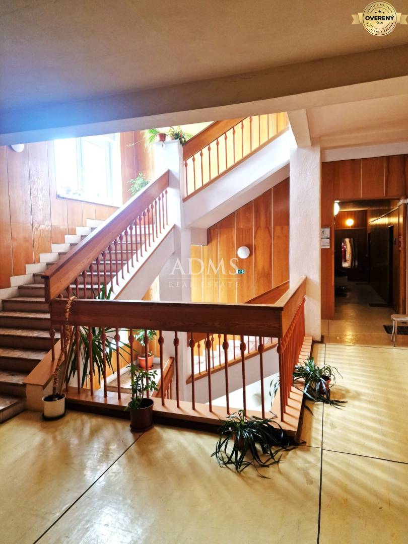 20250325_091009 I.jpg