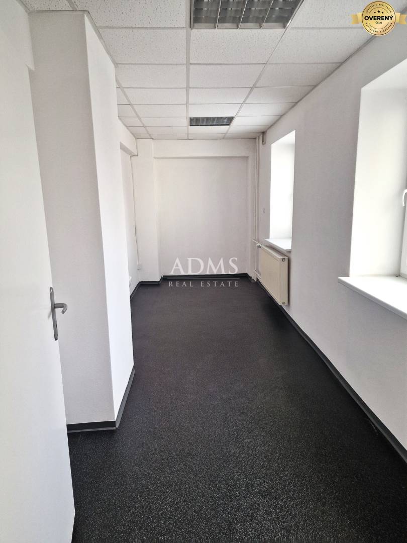 20250325_091715 I.jpg