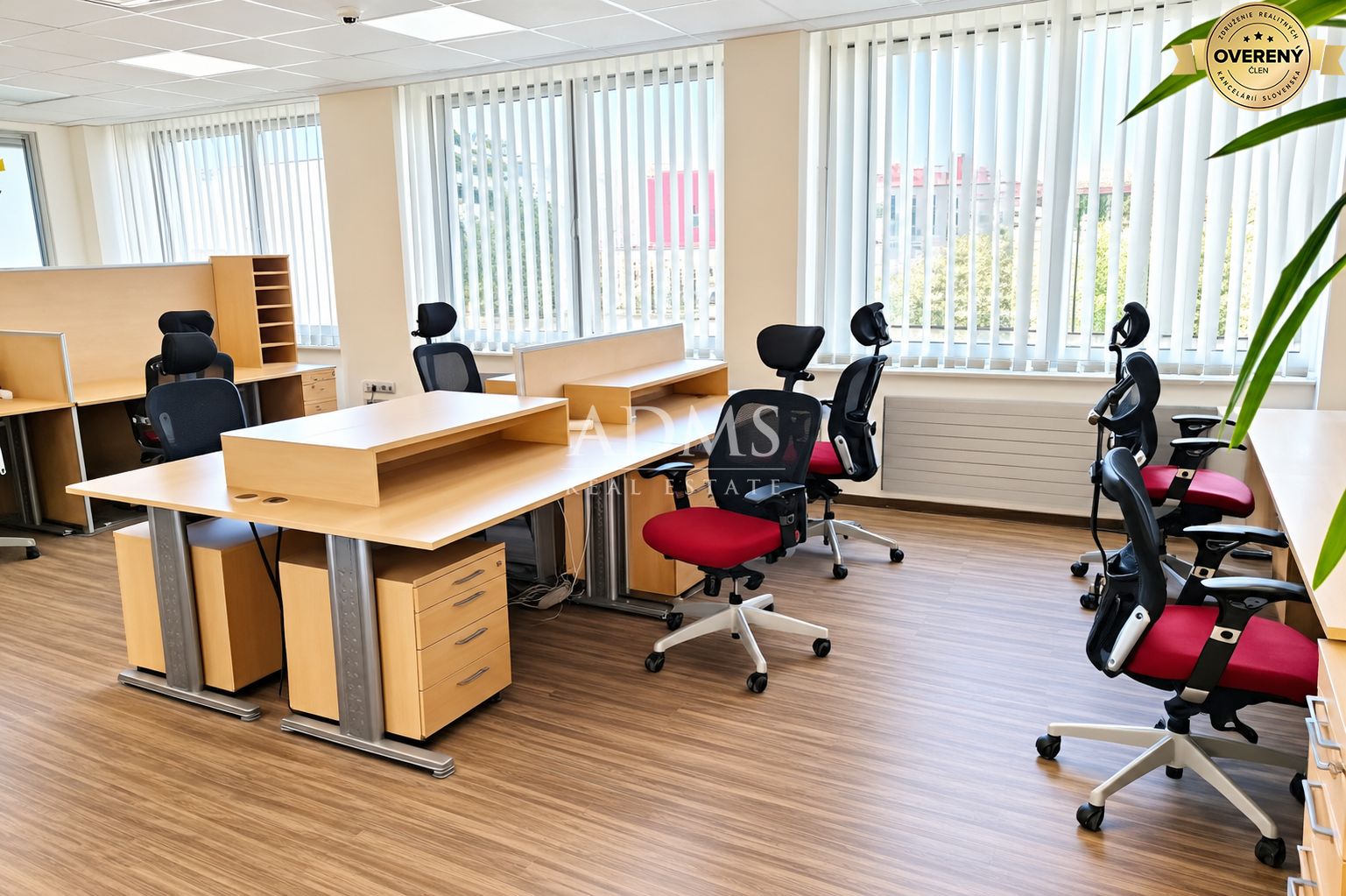 open space zóna.png