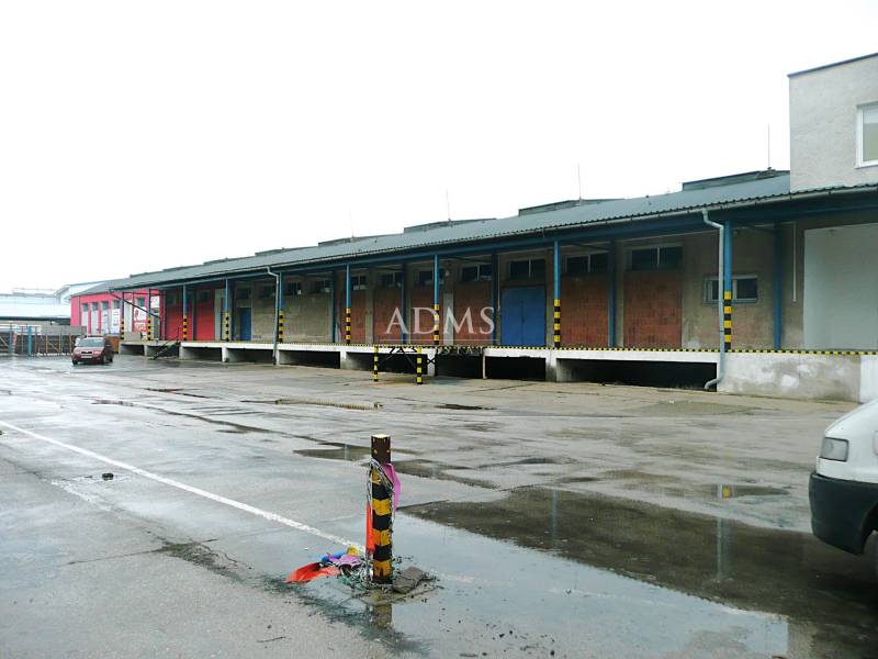 P1100963I.JPG