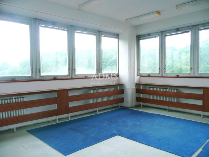 P1100307I.JPG