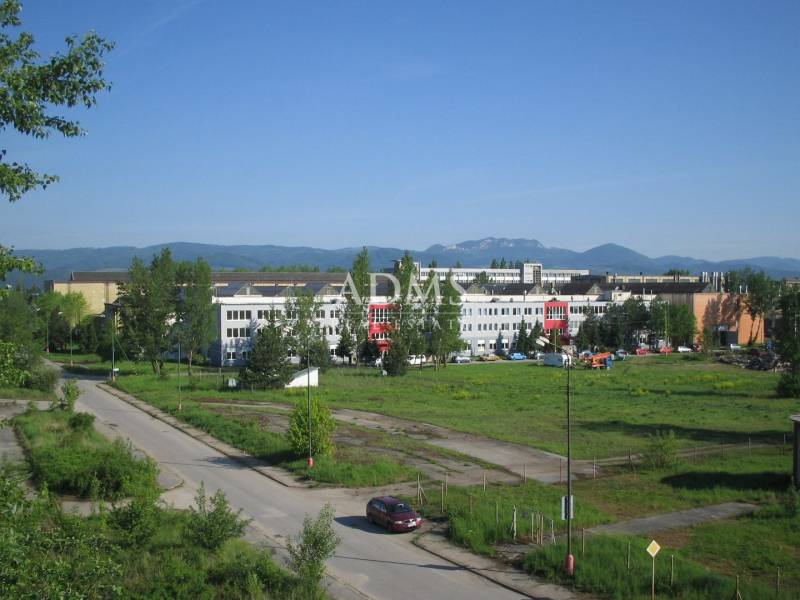 2557694_1.jpg